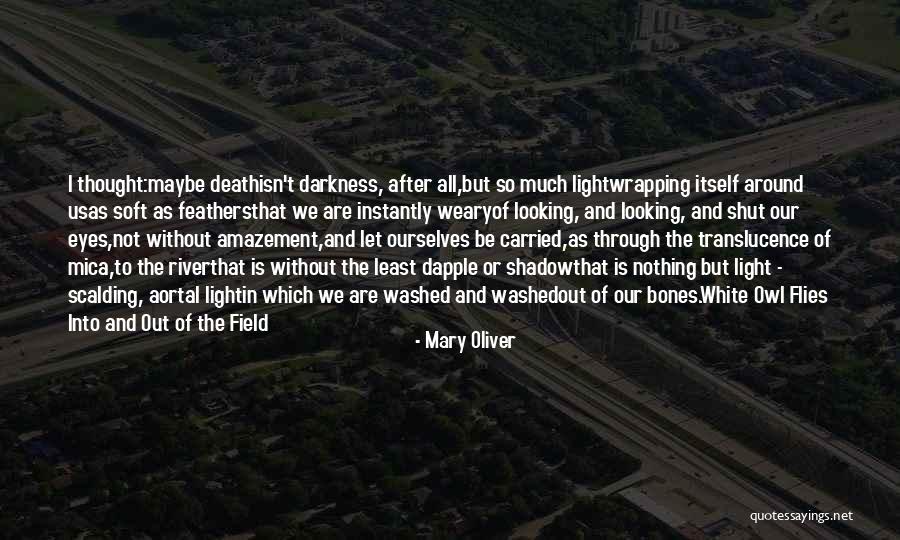 Lumberyard Skiff Quotes By Mary Oliver Lumberyard Skiff Quotes By Mary Oliver