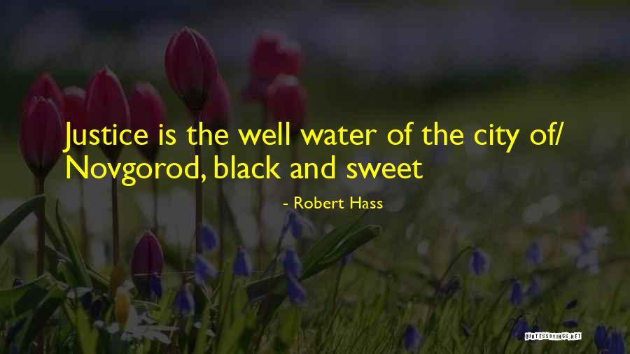 Lumbre Bar Quotes By Robert Hass Lumbre Bar Quotes By Robert Hass