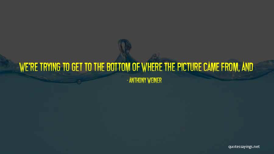 Lumbrera Quite Decir Quotes By Anthony Weiner Lumbrera Quite Decir Quotes By Anthony Weiner