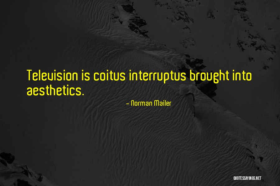 Luminaires Quotes By Norman Mailer Luminaires Quotes By Norman Mailer
