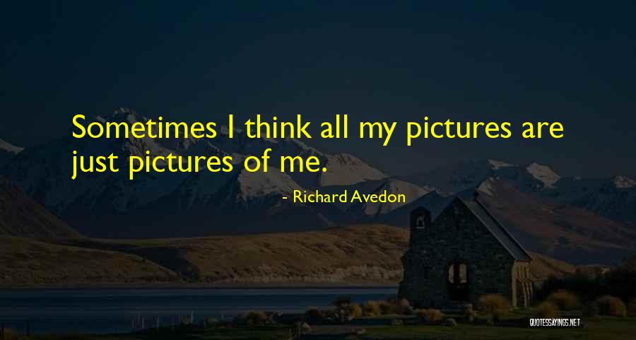 Luminance Meter Quotes By Richard Avedon Luminance Meter Quotes By Richard Avedon