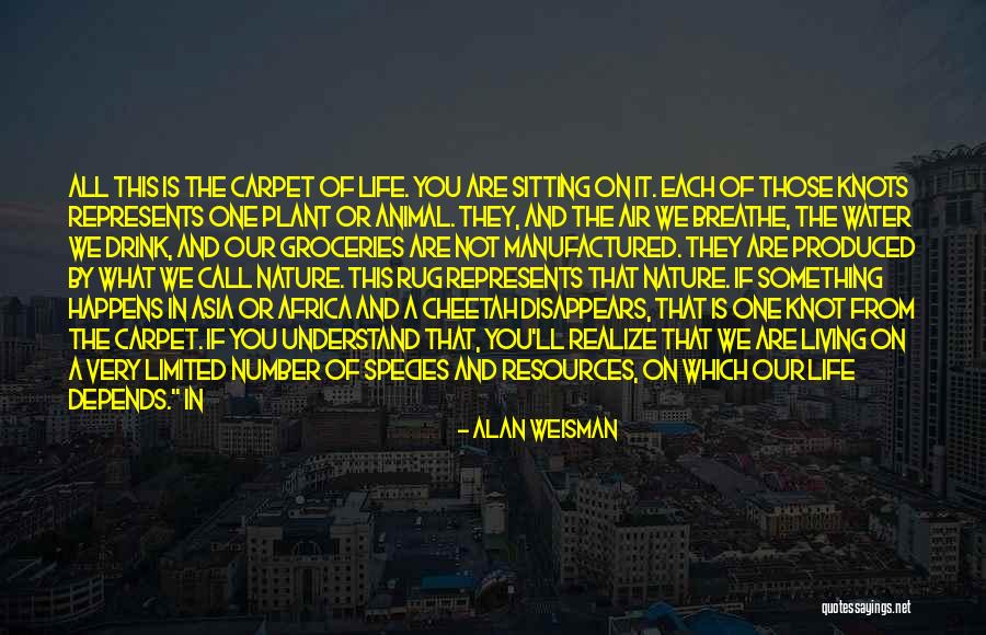 Luminara Tea Quotes By Alan Weisman Luminara Tea Quotes By Alan Weisman