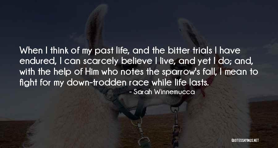 Luminello Quotes By Sarah Winnemucca Luminello Quotes By Sarah Winnemucca