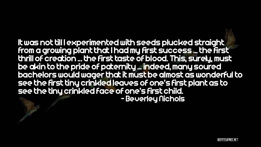 Luminile De Pozitie Quotes By Beverley Nichols Luminile De Pozitie Quotes By Beverley Nichols