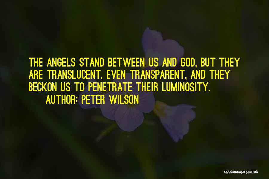 Luminosity Quotes By Peter Wilson