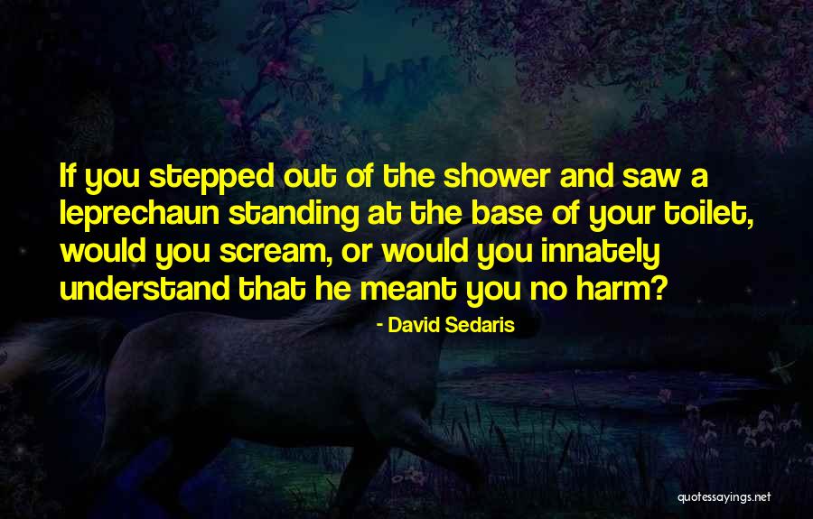 Luminoso Milani Quotes By David Sedaris