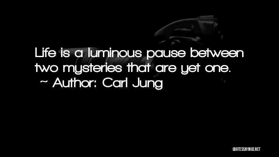 Luminous Mysteries Quotes By Carl Jung