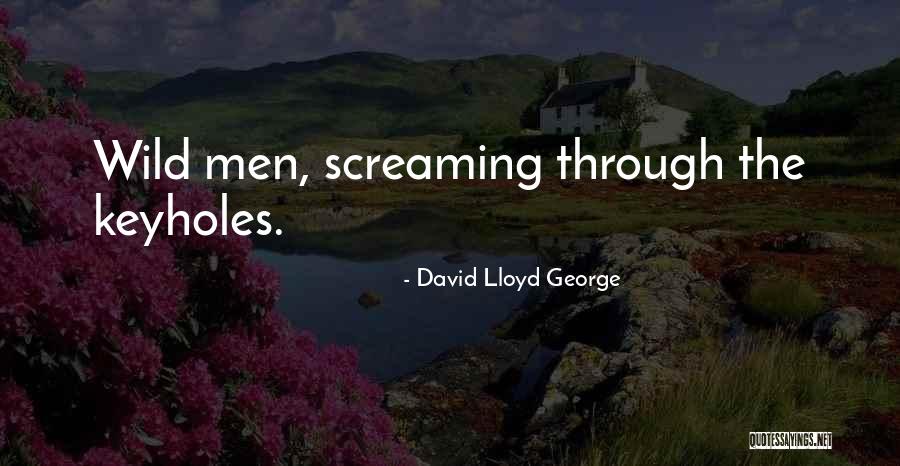 Lummelundagrottan Quotes By David Lloyd George