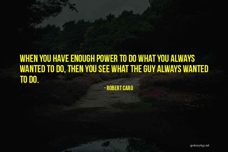 Lummelundagrottan Quotes By Robert Caro