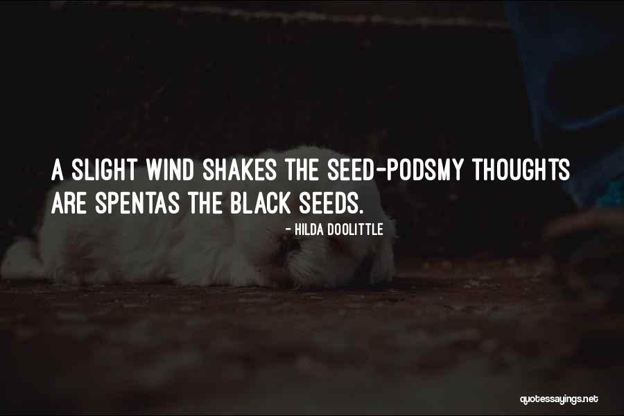 Lummoxes Quotes By Hilda Doolittle Lummoxes Quotes By Hilda Doolittle