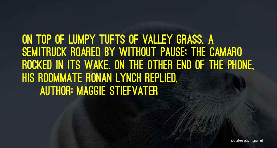 Lumpy Quotes By Maggie Stiefvater