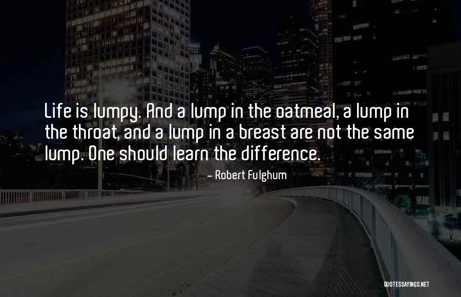 Lumpy Quotes By Robert Fulghum