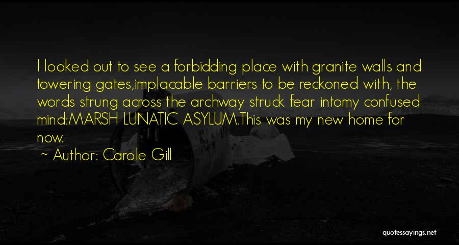 Lunatic Asylum Quotes By Carole Gill