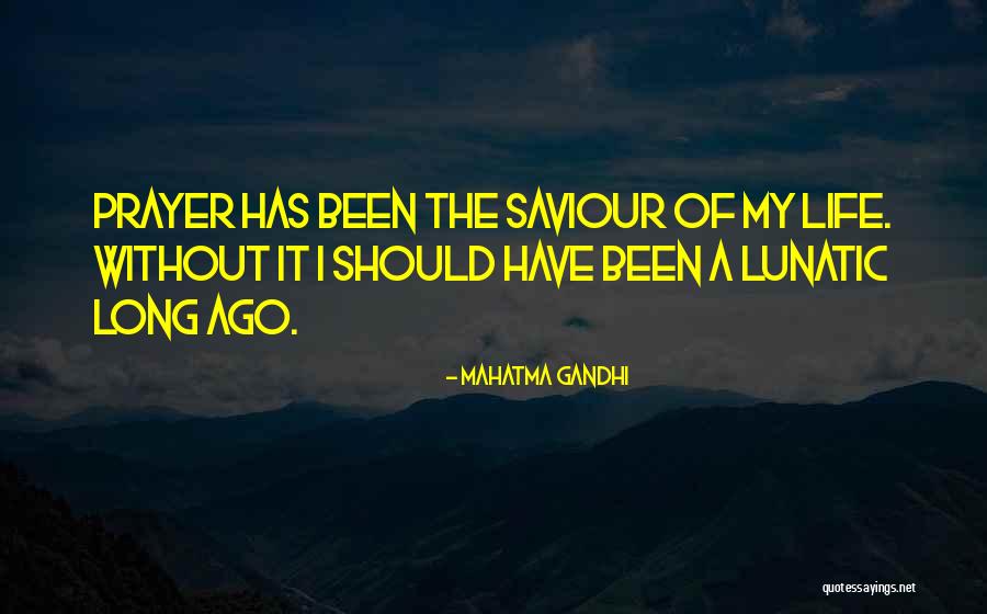 Lunatic Life Quotes By Mahatma Gandhi Lunatic Life Quotes By Mahatma Gandhi