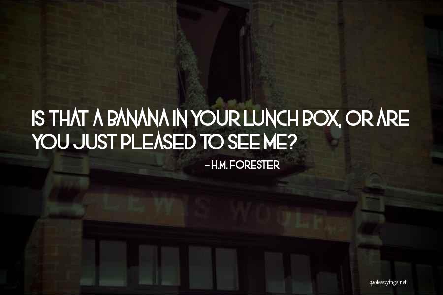 Lunch Box Quotes By H.M. Forester Lunch Box Quotes By H.M. Forester