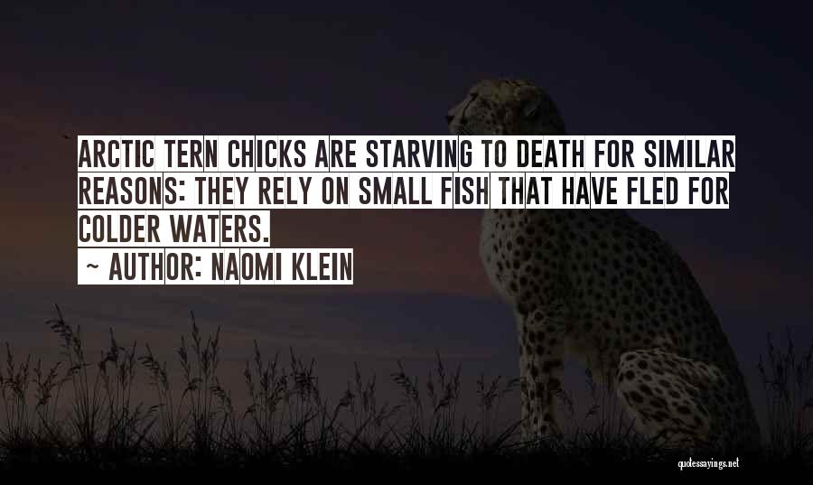 Lunch Lady Land Quotes By Naomi Klein Lunch Lady Land Quotes By Naomi Klein