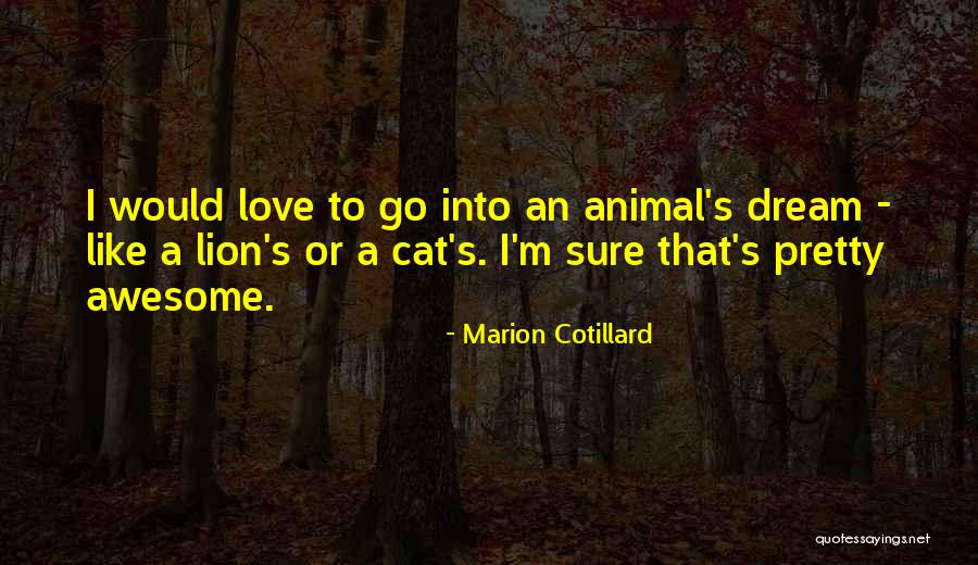 Lunchables Maxed Quotes By Marion Cotillard Lunchables Maxed Quotes By Marion Cotillard