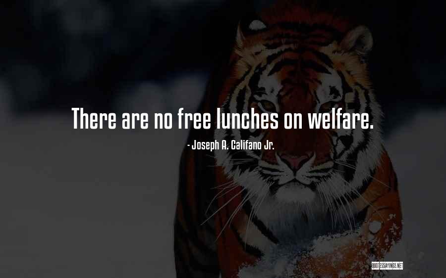 Lunches Quotes By Joseph A. Califano Jr.