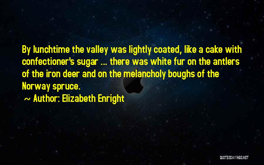 Lunchtime Quotes By Elizabeth Enright