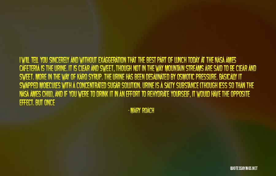 Lunchtime Quotes By Mary Roach Lunchtime Quotes By Mary Roach
