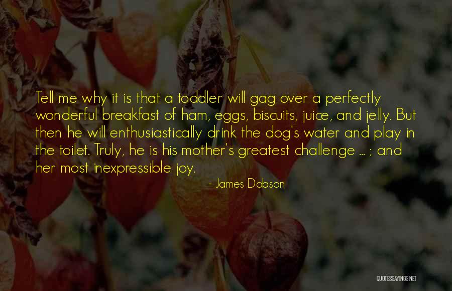 Lundehund Quotes By James Dobson Lundehund Quotes By James Dobson