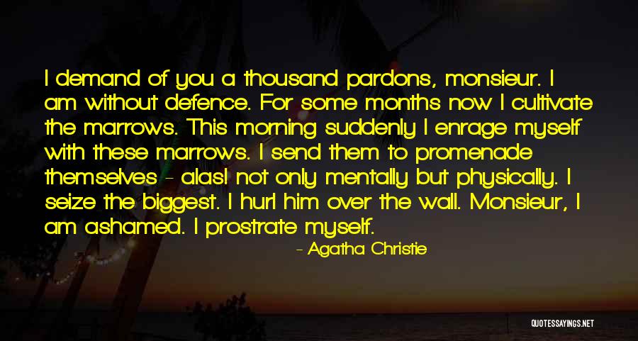 Lunfardo Que Quotes By Agatha Christie Lunfardo Que Quotes By Agatha Christie
