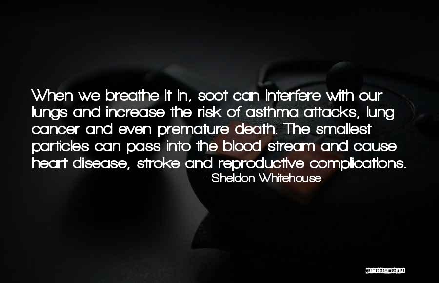 Lung Disease Quotes By Sheldon Whitehouse Lung Disease Quotes By Sheldon Whitehouse