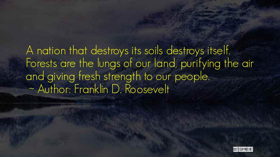 Lungs Quotes By Franklin D. Roosevelt