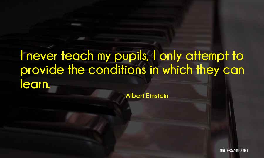 Lunula Quotes By Albert Einstein Lunula Quotes By Albert Einstein