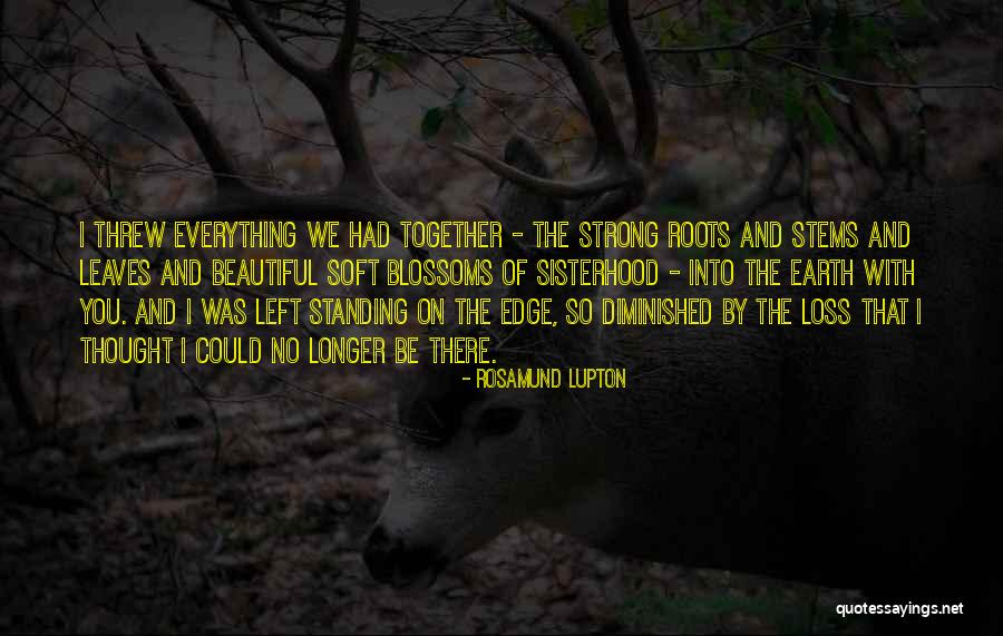 Lupton Quotes By Rosamund Lupton Lupton Quotes By Rosamund Lupton
