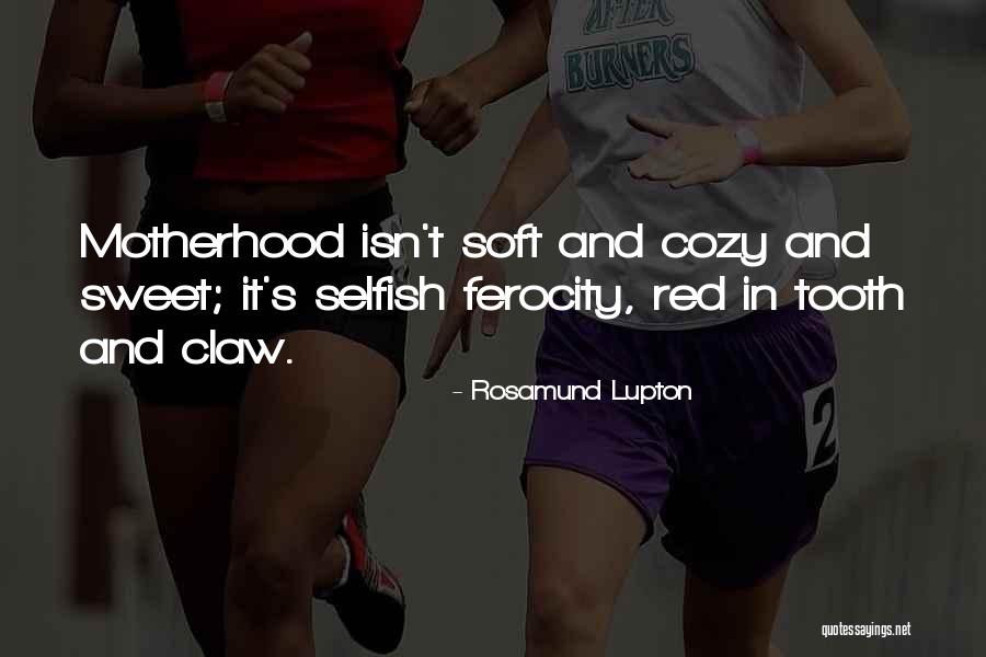 Lupton Quotes By Rosamund Lupton Lupton Quotes By Rosamund Lupton