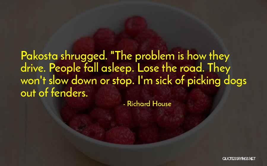 Luquin Plumbing Quotes By Richard House Luquin Plumbing Quotes By Richard House