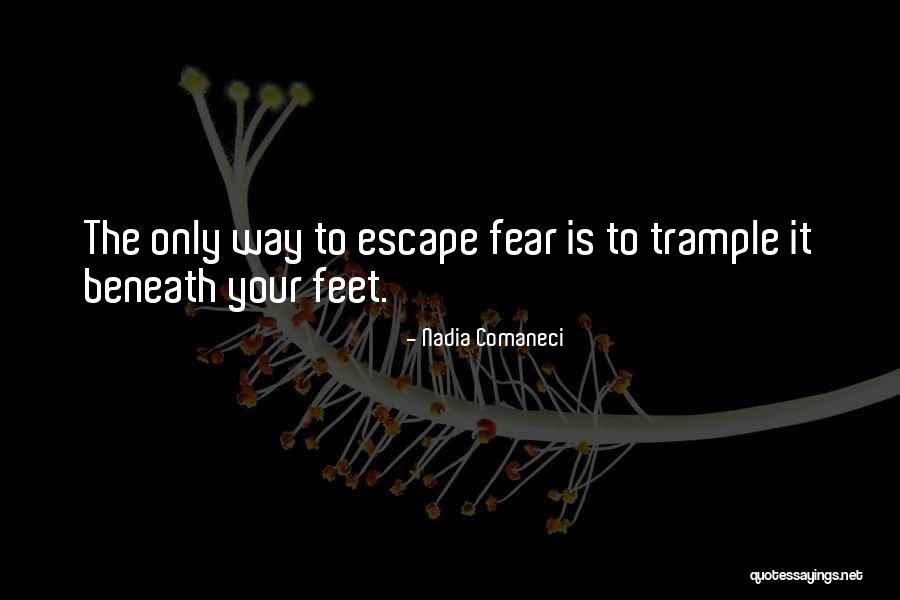 Luria Test Quotes By Nadia Comaneci Luria Test Quotes By Nadia Comaneci
