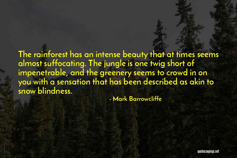 Lury Quotes By Mark Barrowcliffe Lury Quotes By Mark Barrowcliffe