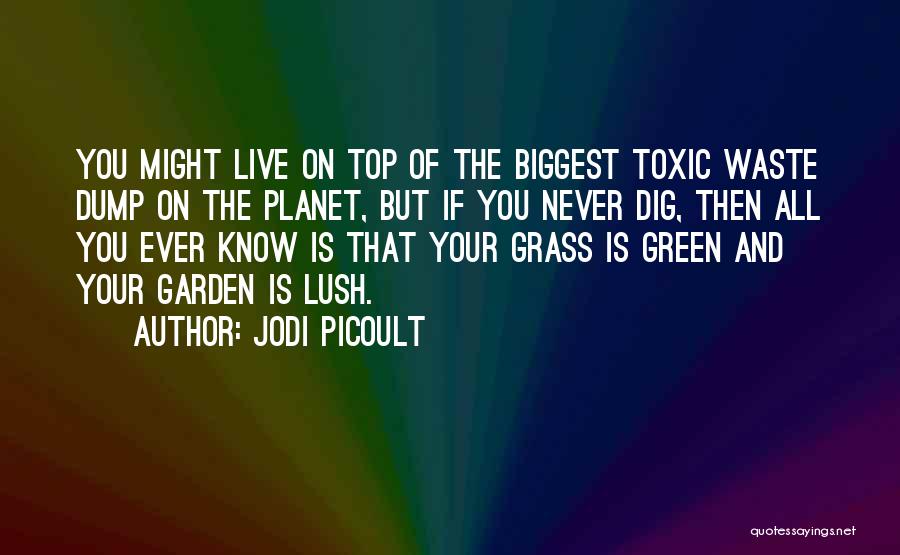 Lush Green Grass Quotes By Jodi Picoult