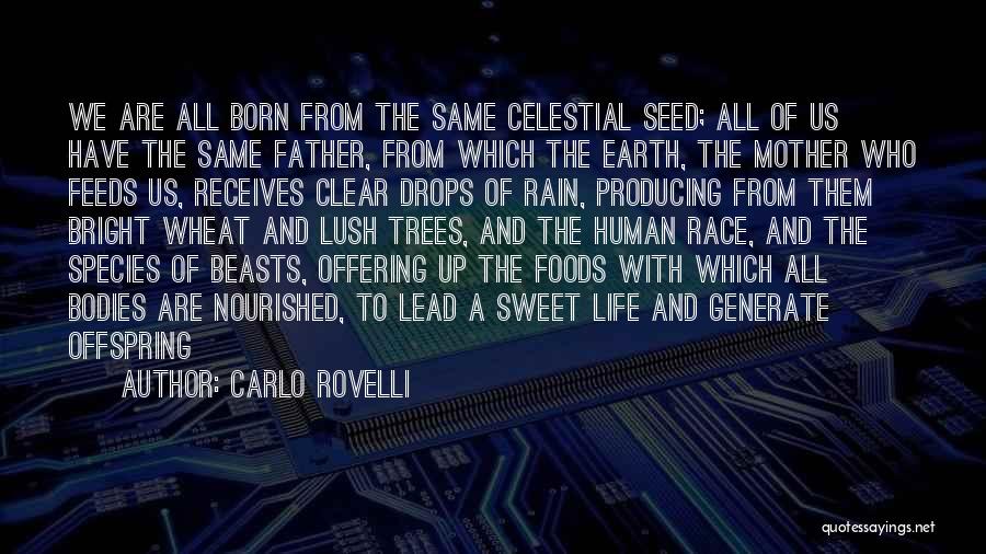 Lush Quotes By Carlo Rovelli