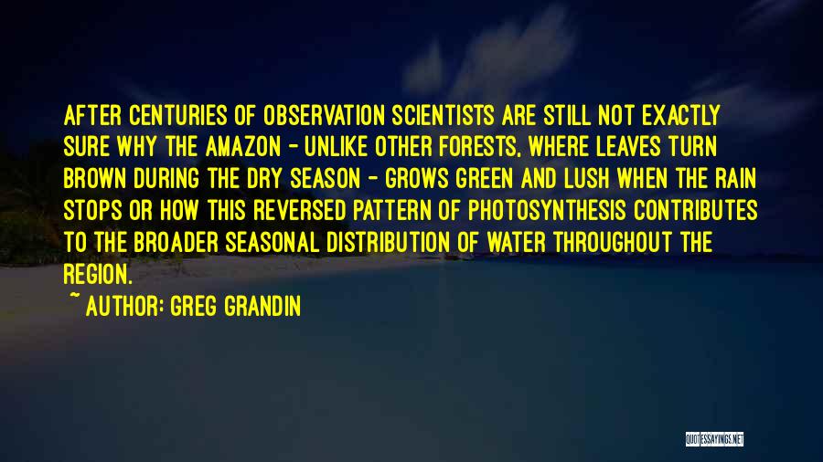 Lush Quotes By Greg Grandin Lush Quotes By Greg Grandin