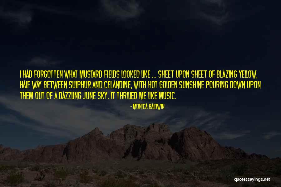 Lushaka Bursary Quotes By Monica Baldwin Lushaka Bursary Quotes By Monica Baldwin