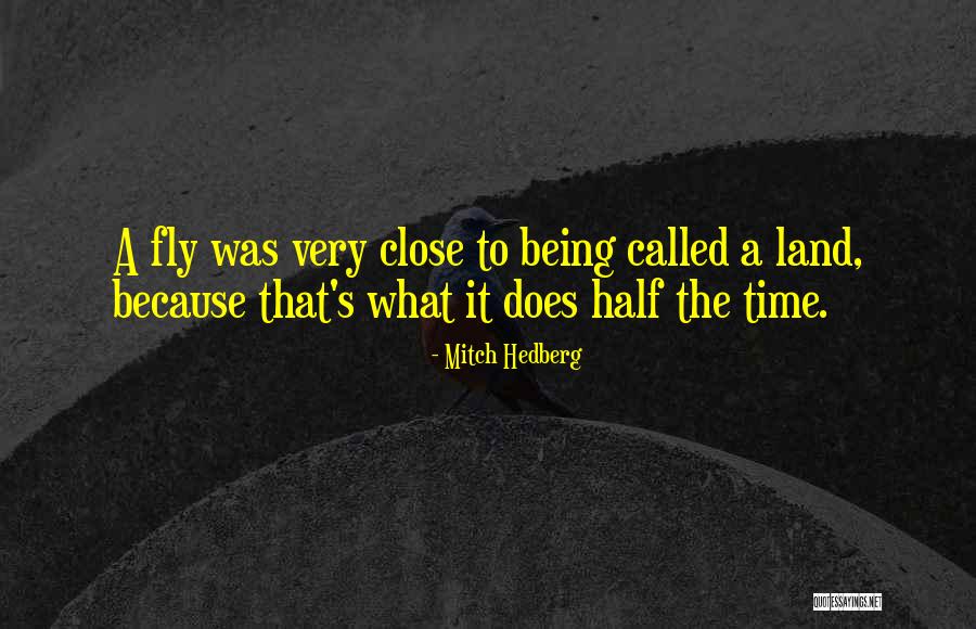 Lustbader Jcc Quotes By Mitch Hedberg Lustbader Jcc Quotes By Mitch Hedberg