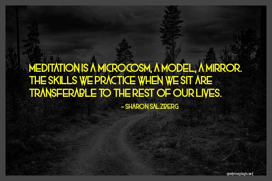 Lustenhouwer Artist Mixtures Quotes By Sharon Salzberg Lustenhouwer Artist Mixtures Quotes By Sharon Salzberg