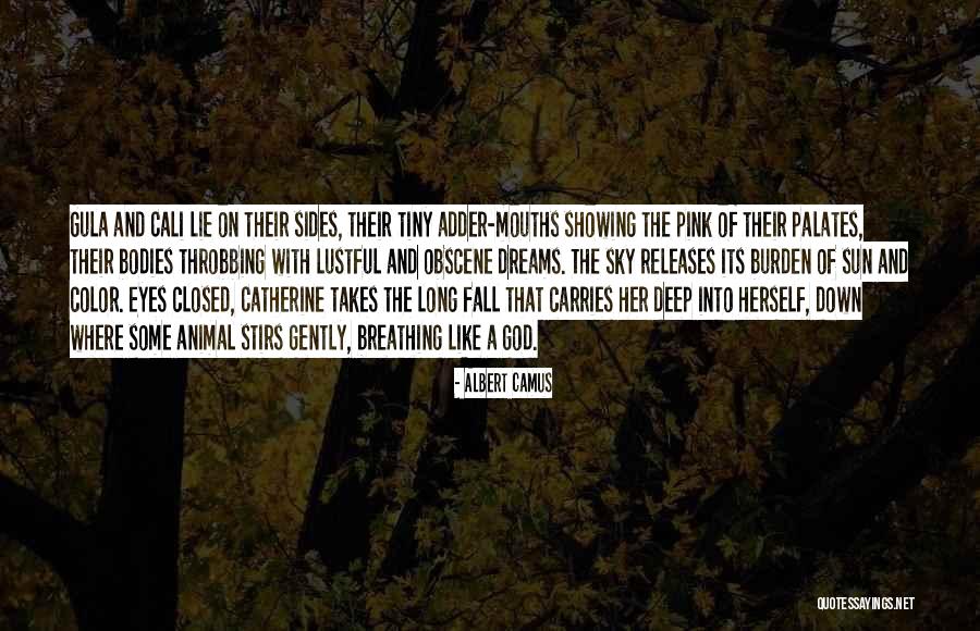 Lustful Eyes Quotes By Albert Camus Lustful Eyes Quotes By Albert Camus