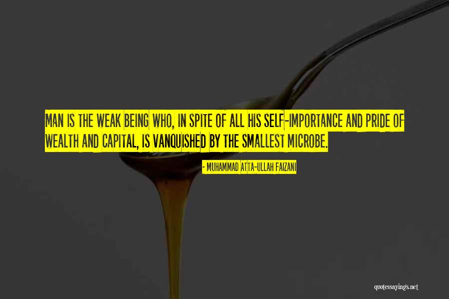 Lustig Glaser Quotes By Muhammad Atta-ullah Faizani Lustig Glaser Quotes By Muhammad Atta-ullah Faizani
