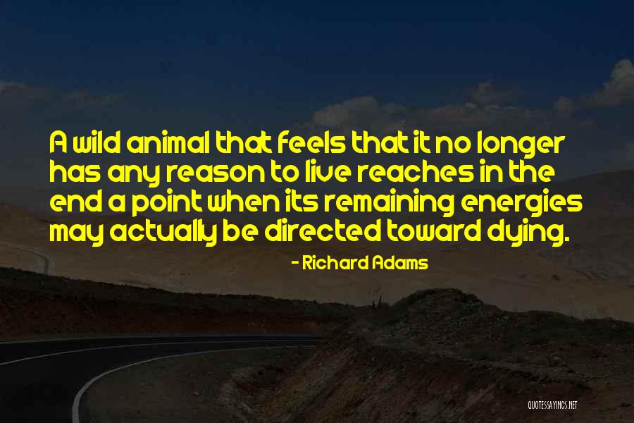 Lustrous Daybreak Quotes By Richard Adams Lustrous Daybreak Quotes By Richard Adams