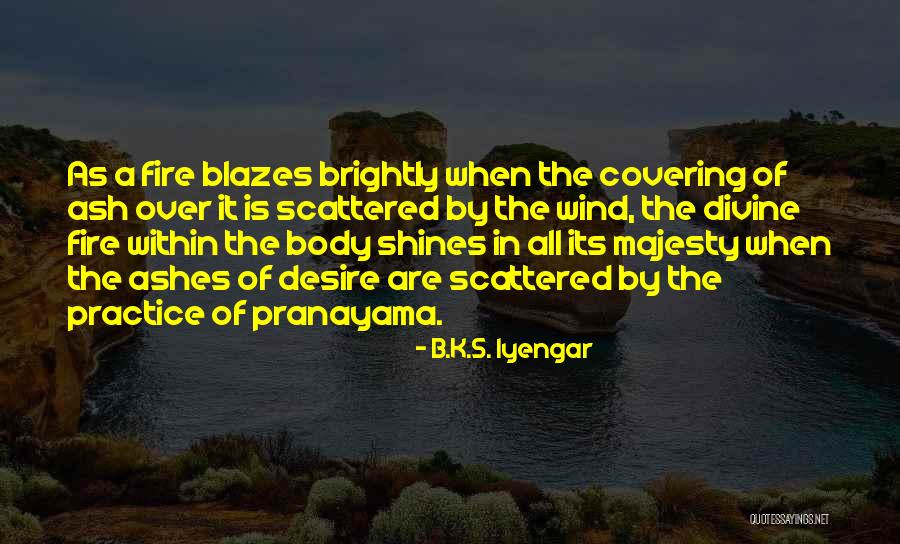 Lustwerk Music Quotes By B.K.S. Iyengar