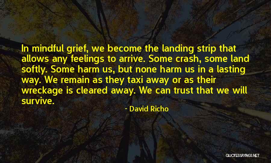 Lusufruit Au Quotes By David Richo Lusufruit Au Quotes By David Richo