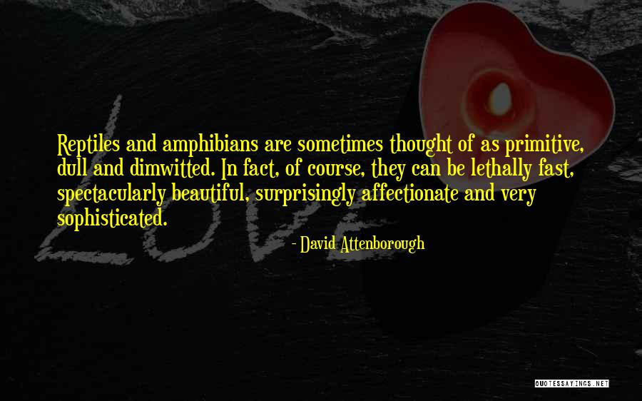 Luterkort Advokatbyr Quotes By David Attenborough Luterkort Advokatbyr Quotes By David Attenborough