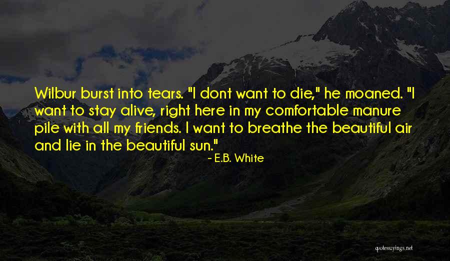 Luterkort Advokatbyr Quotes By E.B. White Luterkort Advokatbyr Quotes By E.B. White