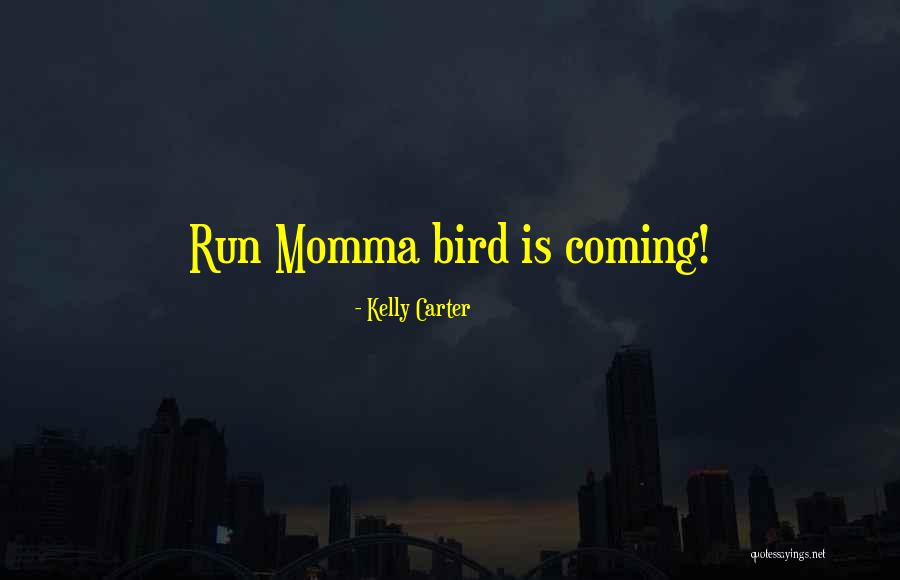Lutfy Real Estate Quotes By Kelly Carter Lutfy Real Estate Quotes By Kelly Carter