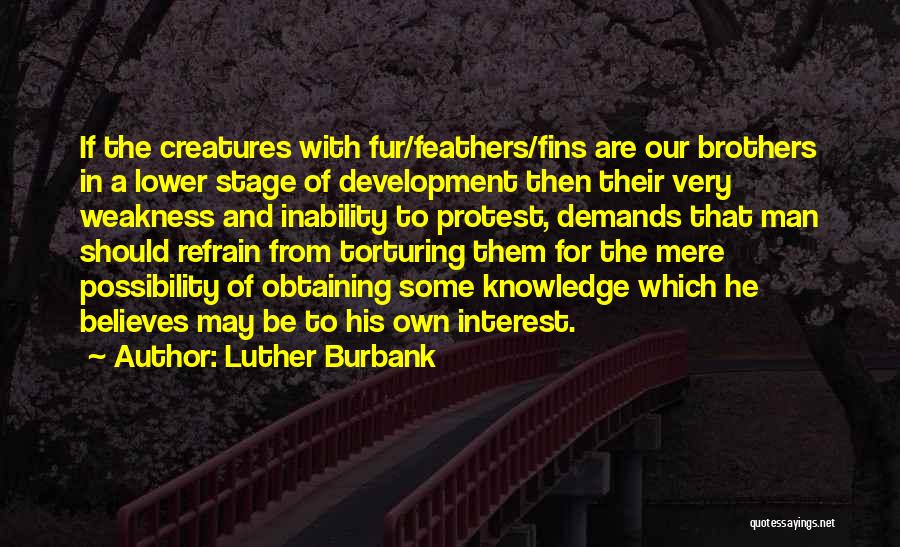 Luther Burbank Quotes 1393563