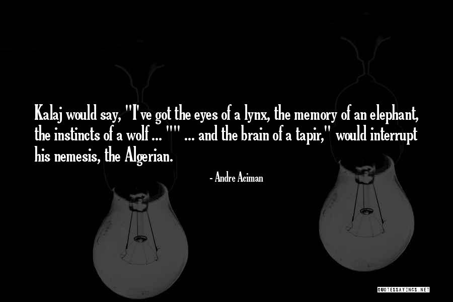 Luthiel Characters Quotes By Andre Aciman Luthiel Characters Quotes By Andre Aciman